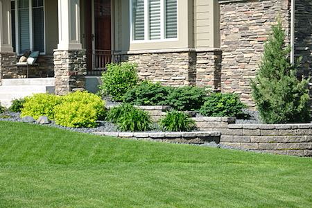 Why Your Lawn Looks Thin, Brown, or Weedy in Owensboro, KY and What to Do About It